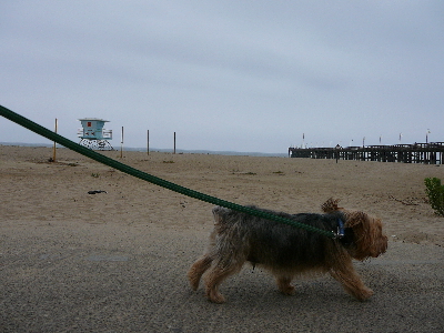P1060813(1).JPG